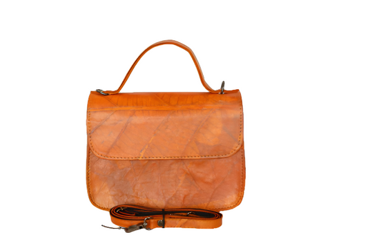 https://cdn.shopify.com/s/files/1/0674/9706/6816/files/79ed8427-b5e6-40d7-b438-9c3f7ba998dd.png?v=1753587176