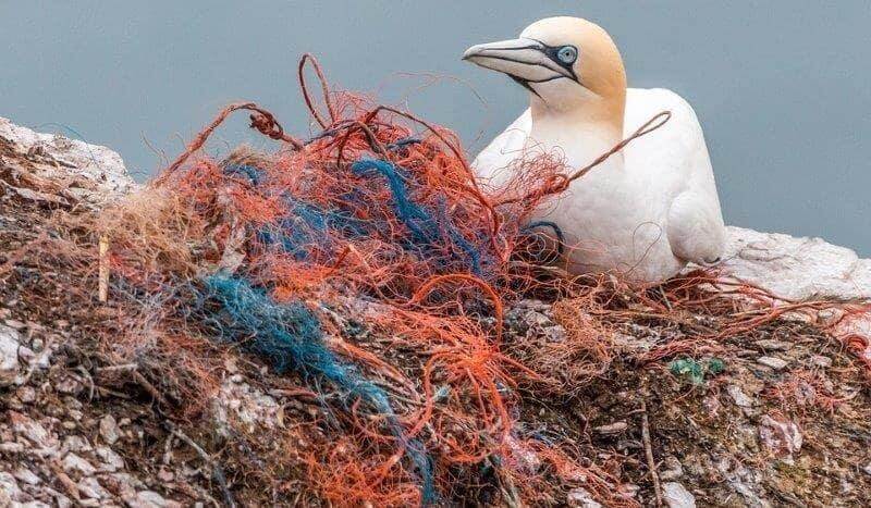 16 Tips to go plastic free - Guide for a plastic free life