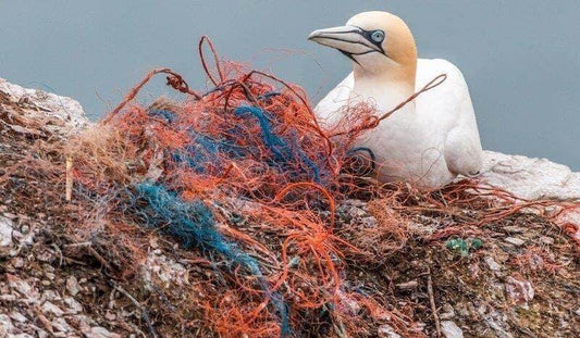 16 Tips to go plastic free - Guide for a plastic free life