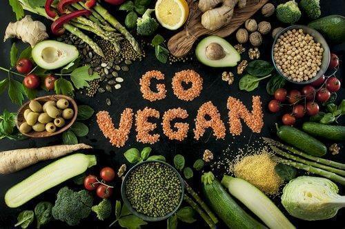 8 Tips to Become a Vegan and Maintain a Social Life