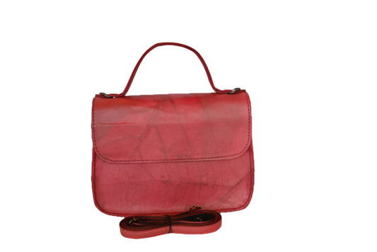 https://cdn.shopify.com/s/files/1/0674/9706/6816/files/0938fdf6-052f-400a-bb31-adf05362c7b6.png?v=1753587271
