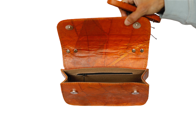 https://cdn.shopify.com/s/files/1/0674/9706/6816/files/643dbda4-4cb0-4a7e-82bd-6252b0df9ed0.png?v=1753488752