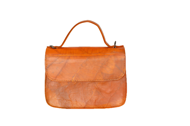 https://cdn.shopify.com/s/files/1/0674/9706/6816/files/9fcd6e51-de1b-4915-8d83-15884c7c4023.png?v=1753587117