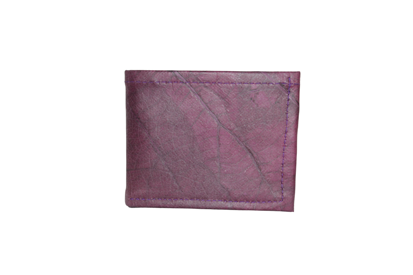 https://cdn.shopify.com/s/files/1/0674/9706/6816/files/Untitleddesign-30.png?v=1748486648