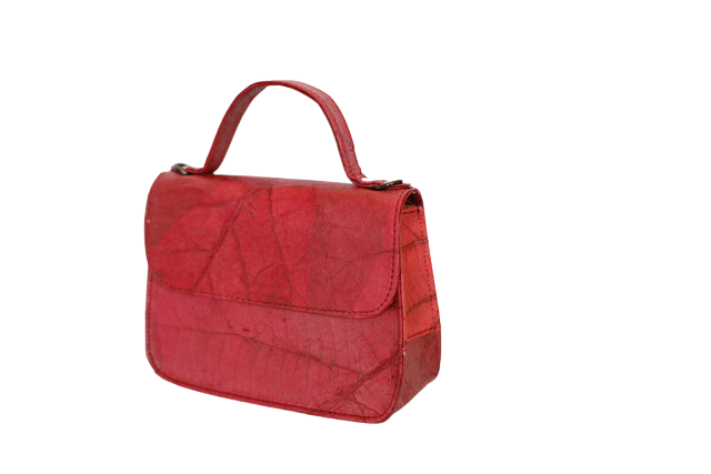 https://cdn.shopify.com/s/files/1/0674/9706/6816/files/ac3ea8e9-f03b-4d20-b1f3-81c4dbc4bc4b.png?v=1753494747
