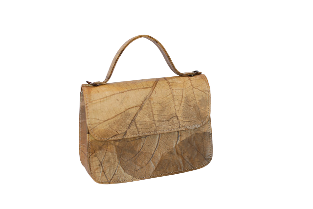 https://cdn.shopify.com/s/files/1/0674/9706/6816/files/be12b762-efa1-47c5-9b8a-2304243d9fe1.png?v=1753491136