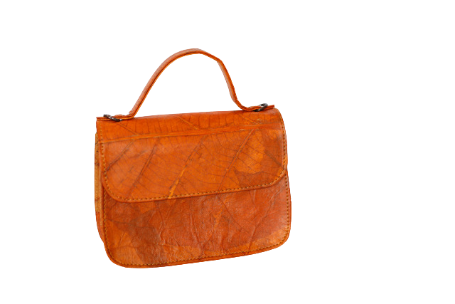 https://cdn.shopify.com/s/files/1/0674/9706/6816/files/c674171f-5ed3-472c-ad08-d4cfdc5d1bb6.png?v=1753488745