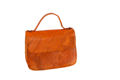 https://cdn.shopify.com/s/files/1/0674/9706/6816/files/c674171f-5ed3-472c-ad08-d4cfdc5d1bb6.png?v=1753488745
